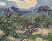 Vincent Van Gogh Olive Trees with the Alpilles in the Background (nn04) oil